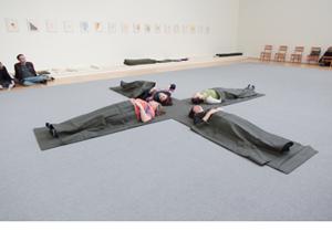 Dia Center for the Arts collection